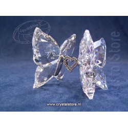 Love Butterflies 