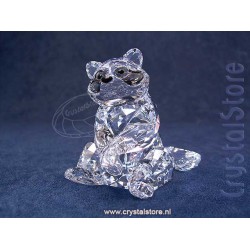 Raccoon