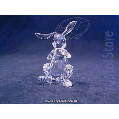 Rabbit 2019 issue