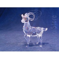 Ibex