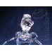 Cinderella Limited Edition 2015