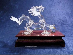Draak met Display