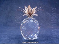 Ananas Groot Zilver