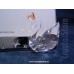 Swan Picture Frame
