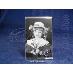 Picture Frame with Ladybird