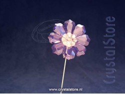 Garden Tales Cosmos