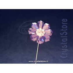 Garden Tales Cosmos