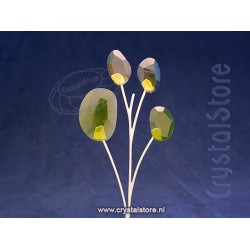 Garden Tales Eucalyptus