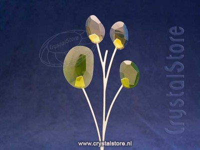 Swarovski Kristal - Garden Tales Eucalyptus