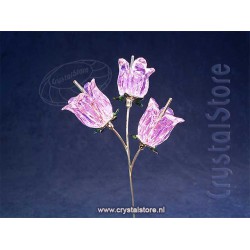 Garden Tales Bellflower