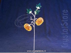 Garden Tales Pompoen