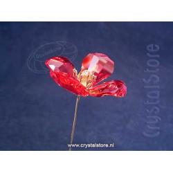 Garden Tales Red Poppy