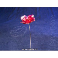 Garden Tales Rose