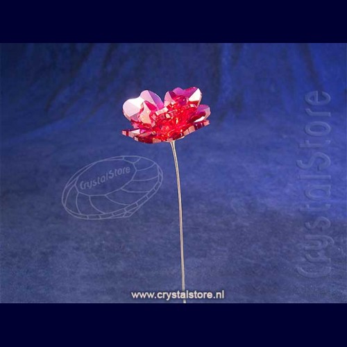 (5557800) Swarovski Rose | Crystal Tales Garden