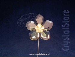 Garden Tales Hellebore