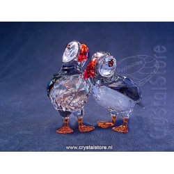 Atlantic Puffins