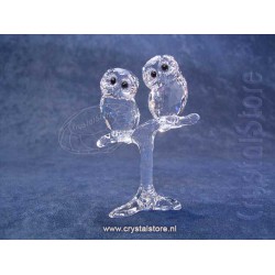 Baby Owls