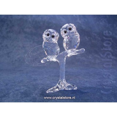 Baby Owls