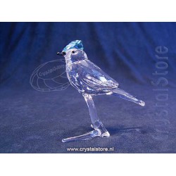 Blue Jay