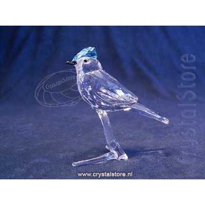 Blue Jay