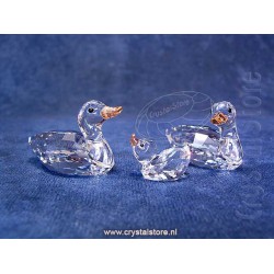 Ducks