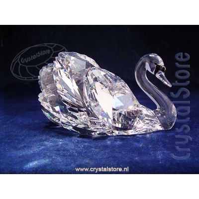 Graceful Swan