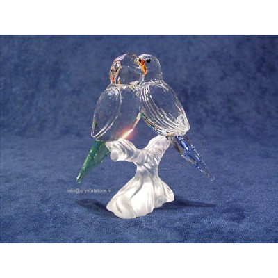 Budgies 
