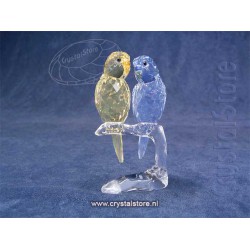 Budgies Coloured 2014