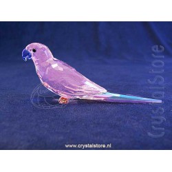 Jungle Beats Pink Parakeet Cha Cha