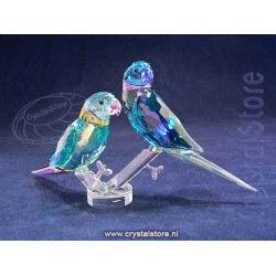 Parakeet Couple Fife and Fifer