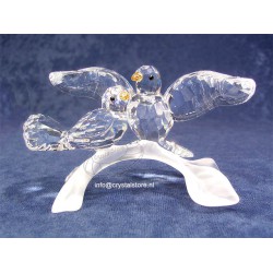 Turtledoves - 2004