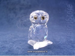 Owl small 2009