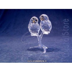 Owl Couple