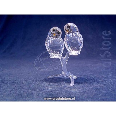 Owl Couple