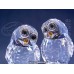 Owl Couple