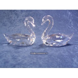 Flirting Swans 
