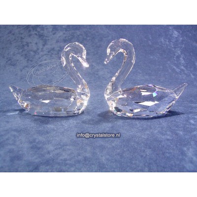 Flirting Swans 