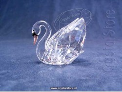 Swan Medium - 2014