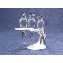 Swallows (2007 issue)