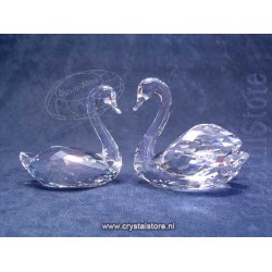 Swan Couple
