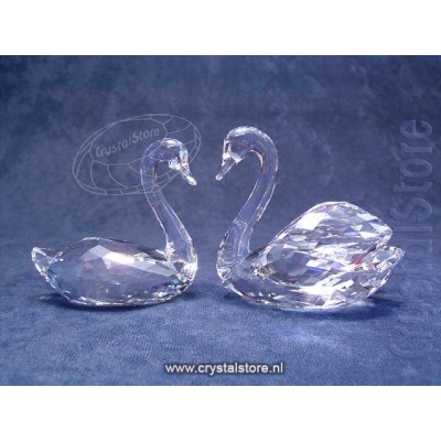 Swan Couple