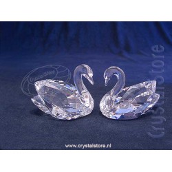 Swan Couple
