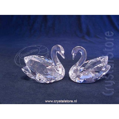 Swan Couple