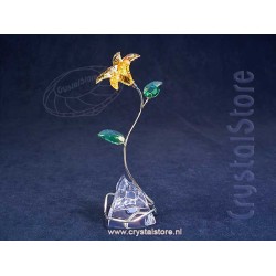 Florere Lily