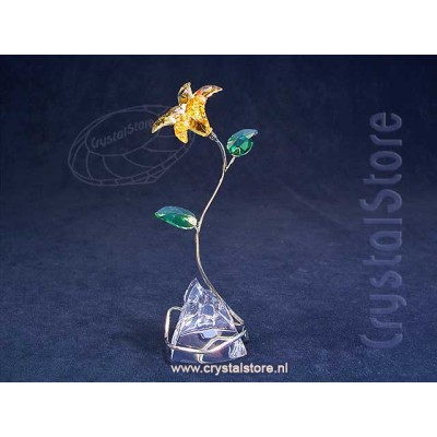 Florere Lily