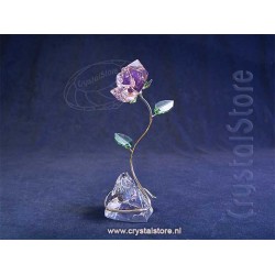 Florere Rose