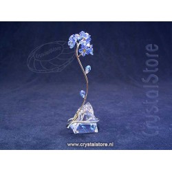 Florere Forget-me-not