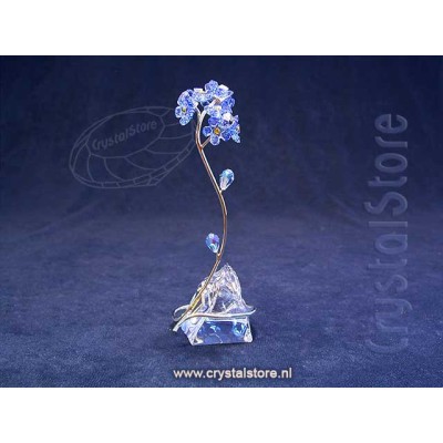 Florere Forget-me-not