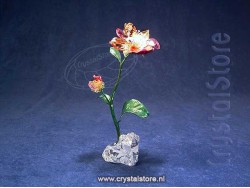 Idyllia Bloem groot