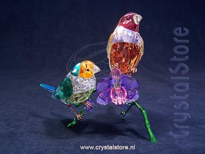 Swarovski  Crystal - SCS Annual Edition 2024 Idyllia Gouldian Finches